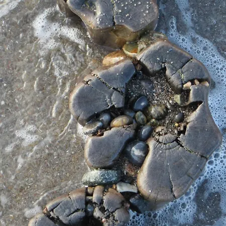 Exkl_ App_ Buhne_ Kamin_ W_lan_ 25 * Börgerende-Rethwisch